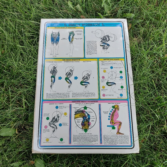 1984 Vintage Bruce Algra Squat Workout Fitnus Chart Series Fitness 16" x 11" - Picture 1 of 5